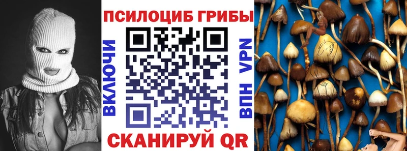omg ссылки  Кемь  Галлюциногенные грибы Psilocybe 